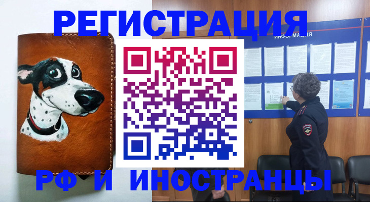 временная регистрация законно в Николаевске